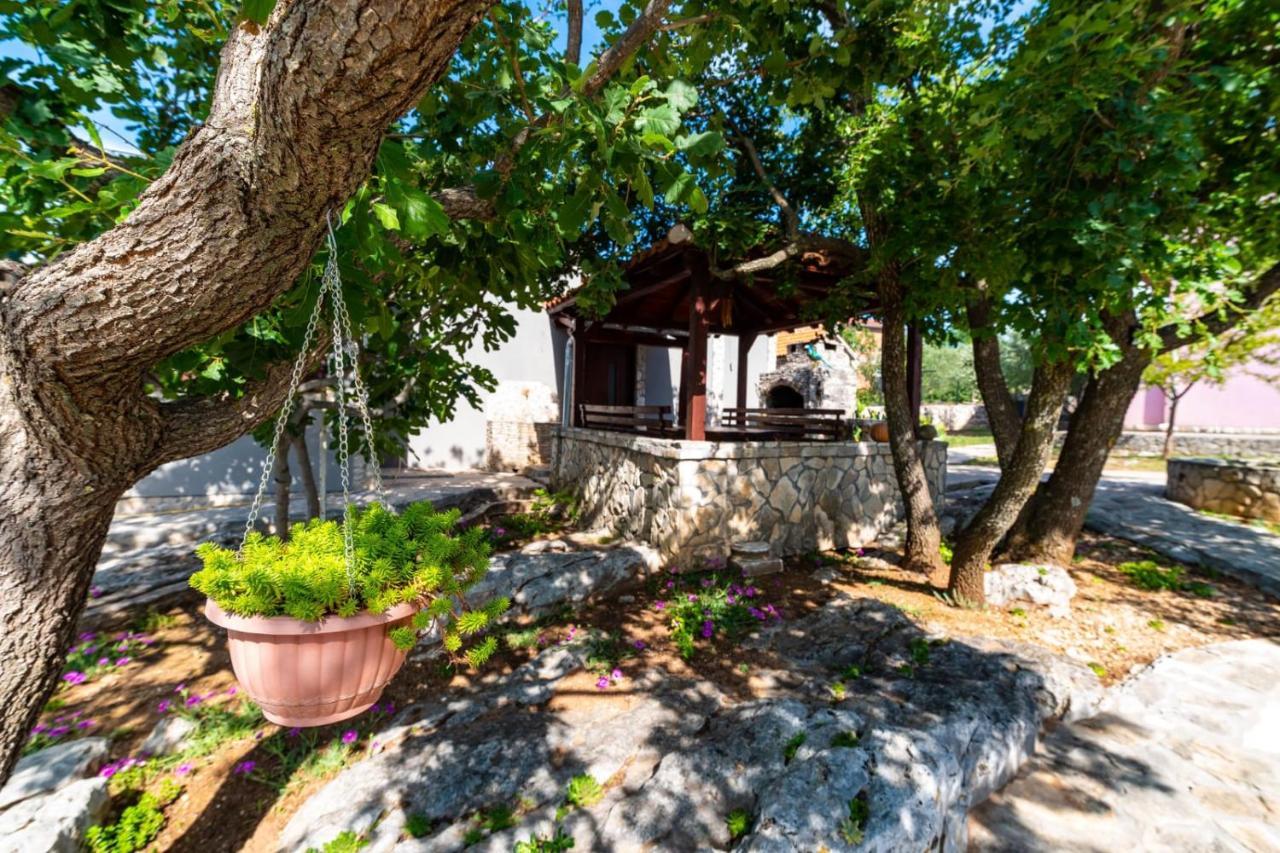 Villa Eagle Benkovac Exterior photo