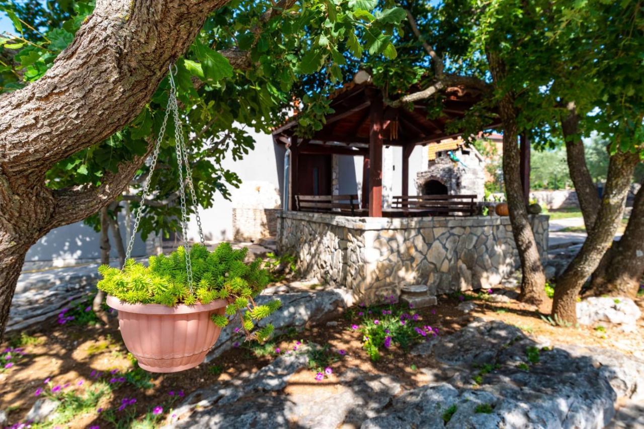 Villa Eagle Benkovac Exterior photo